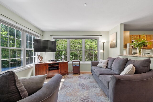 19 Steeple Chase Dr, Hampstead, NH 03841 - view of living area