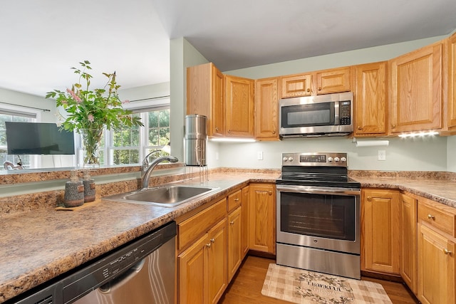 19 Steeple Chase Dr, Hampstead, NH 03841 - kitchen with appliances with stainless steel finishes, a sink, healthy amount of natural light, and light wood-style flooring