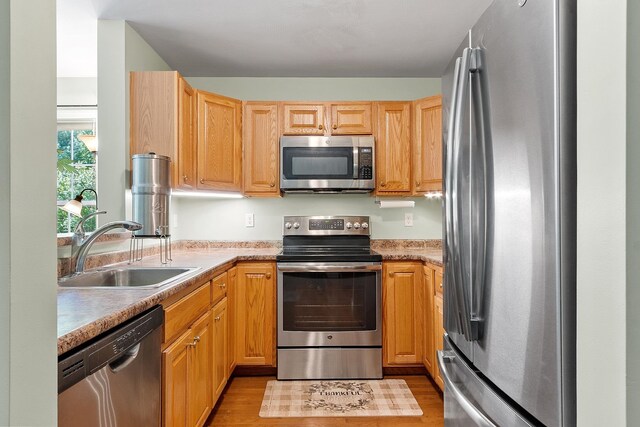 19 Steeple Chase Dr, Hampstead, NH 03841 - kitchen with appliances with stainless steel finishes, a sink, light wood-type flooring, and light countertops