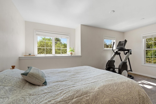 19 Steeple Chase Dr, Hampstead, NH 03841 - carpeted bedroom with baseboards
