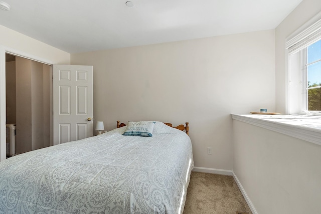 19 Steeple Chase Dr, Hampstead, NH 03841 - carpeted bedroom with baseboards