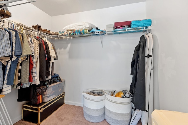 19 Steeple Chase Dr, Hampstead, NH 03841 - walk in closet featuring carpet flooring