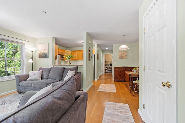 19 Steeple Chase Dr, Hampstead, NH 03841 - living area featuring light wood-type flooring and baseboards