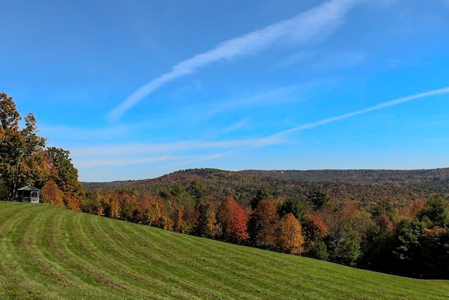 9671 Vt Route 12, Barnard, VT 05031 - view of mountain background featuring a heavily wooded area