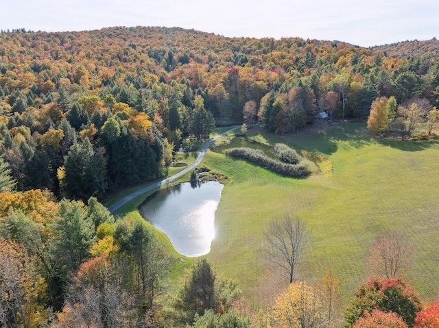 9671 Vt Route 12, Barnard, VT 05031 - bird's eye view of a forest and a nearby body of water