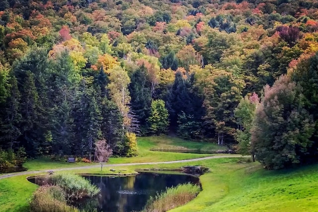 9671 Vt Route 12, Barnard, VT 05031 - view of community featuring a wooded view, a water view, and a lawn