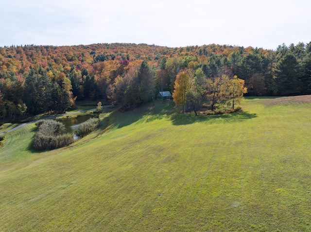 9671 Vt Route 12, Barnard, VT 05031 - view of green lawn featuring a forest view and a water view