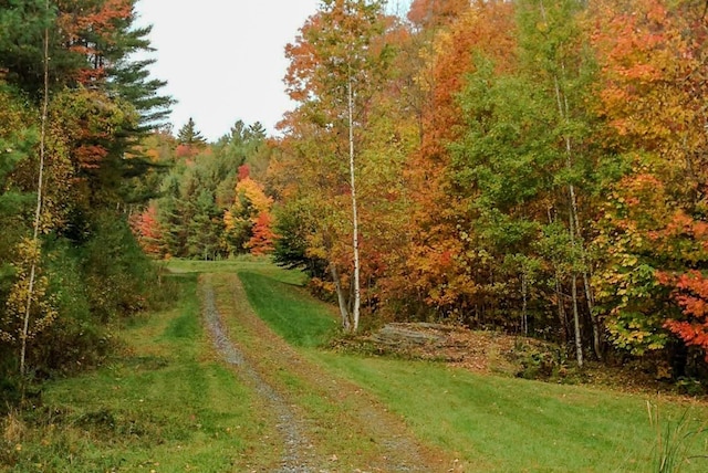 9671 Vt Route 12, Barnard, VT 05031 - view of road featuring a wooded view