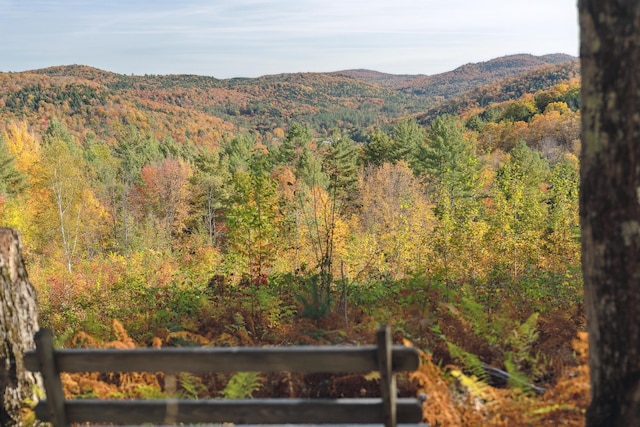 9671 Vt Route 12, Barnard, VT 05031 - view of mountain background with a forest