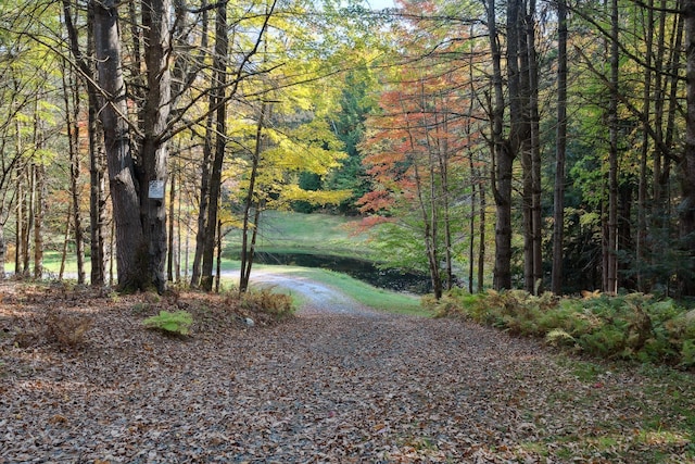 9671 Vt Route 12, Barnard, VT 05031 - view of street featuring a view of trees