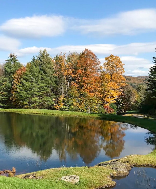 9671 Vt Route 12, Barnard, VT 05031 - water view featuring a forest