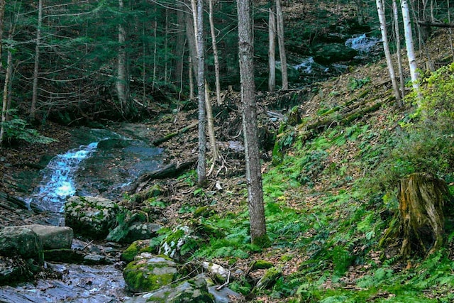 9671 Vt Route 12, Barnard, VT 05031 - view of nature