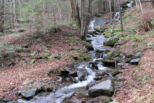 9671 Vt Route 12, Barnard, VT 05031 - view of wooded area