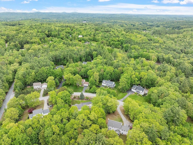 24 Stonewall Dr, Milford, NH 03055 - drone / aerial view of a forest