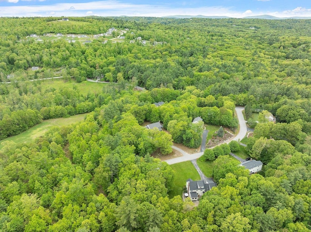 24 Stonewall Dr, Milford, NH 03055 - aerial view of a heavily wooded area