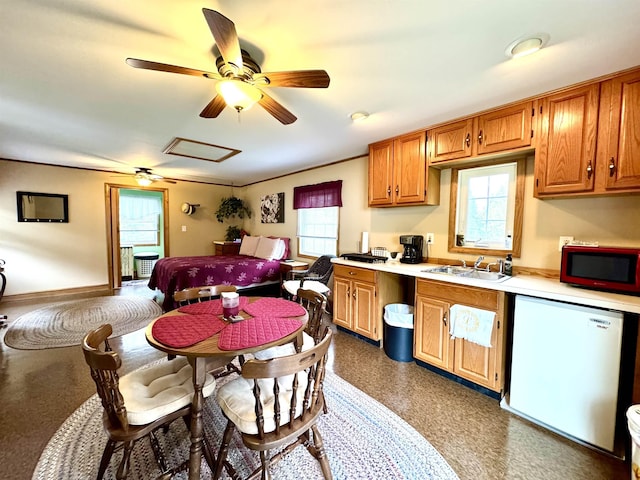 106 Philbrook Rd, Pittsburg, NH 03592 - kitchen featuring white dishwasher, a sink, and plenty of natural light