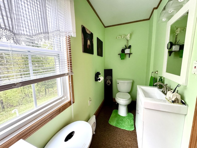 106 Philbrook Rd, Pittsburg, NH 03592 - bathroom with toilet, vanity, crown molding, baseboards, and baseboard heating