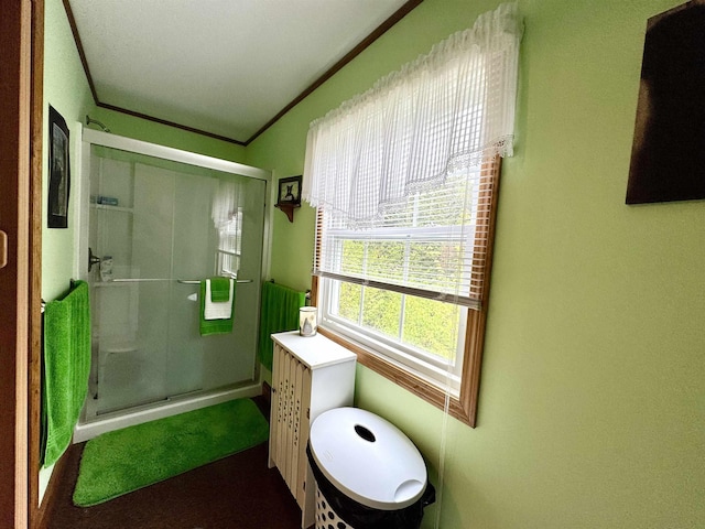 106 Philbrook Rd, Pittsburg, NH 03592 - full bath with a shower stall and vaulted ceiling