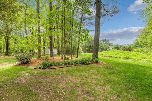 15 Fox Meadow Ln, Merrimack, NH 03054 - view of grassy yard