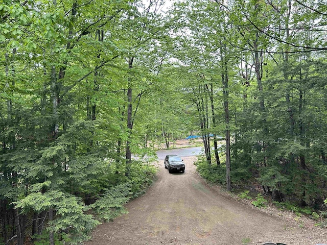 19 Alpendorf Loop, Bartlett, NH 03812 - view of street with a forest view