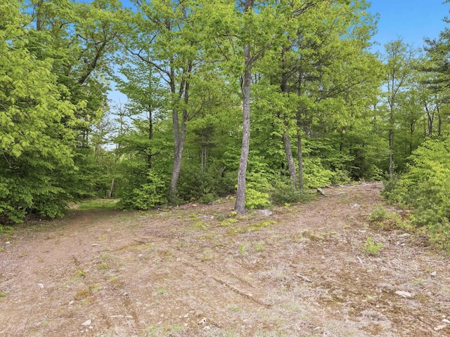 450 Leighton Corner Rd, Wakefield, NH 03872 - view of tree filled area
