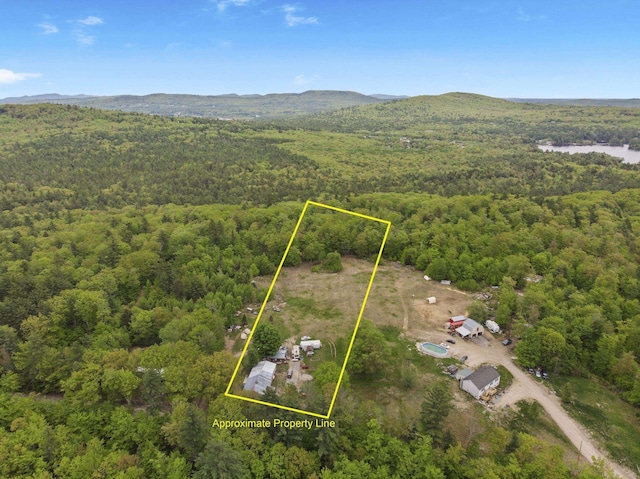 450 Leighton Corner Rd, Wakefield, NH 03872 - view of property location with a forest, property boundaries highlighted, and a mountain backdrop