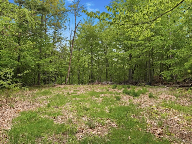 450 Leighton Corner Rd, Wakefield, NH 03872 - view of tree filled area