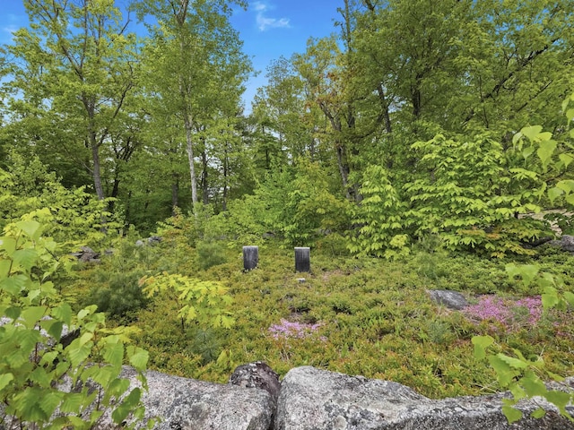 450 Leighton Corner Rd, Wakefield, NH 03872 - view of wooded area