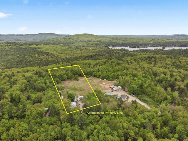450 Leighton Corner Rd, Wakefield, NH 03872 - view of property location with a forest, a nearby body of water, and property boundaries highlighted