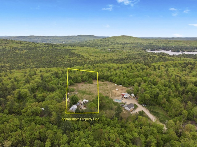 450 Leighton Corner Rd, Wakefield, NH 03872 - aerial overview of property's location with a forest, property boundaries highlighted, and a nearby body of water