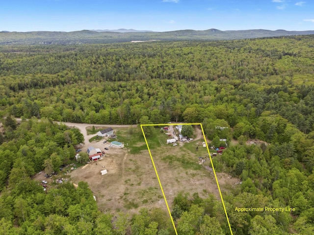 450 Leighton Corner Rd, Wakefield, NH 03872 - aerial view of property's location featuring a forest, property parcel outlined, and a mountain backdrop