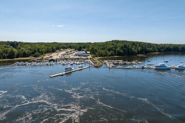 18 Little Bay Dr, Dover, NH 03820 - water view featuring a forest, a boat dock, and numerous boat docks