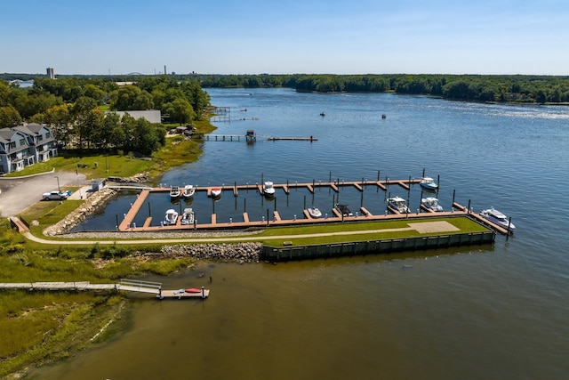 22 Little Bay Dr, Dover, NH 03820 - water view with a dock