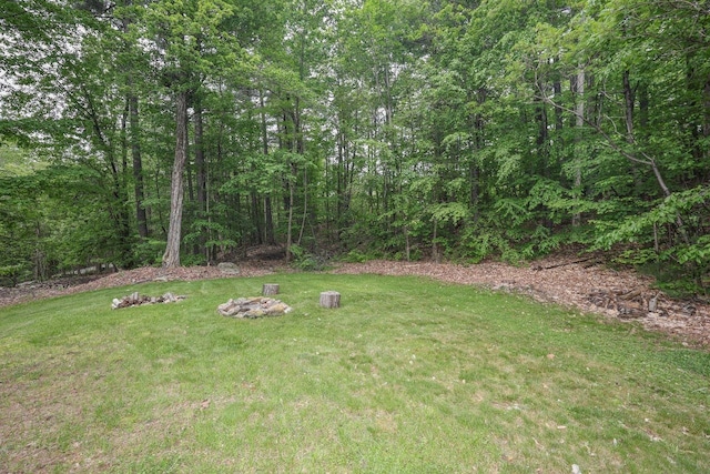 29 Isaac Frye Hwy, Wilton, NH 03086 - view of green lawn