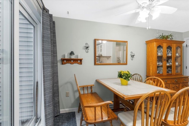 7 Daniel Plummer Rd Unit E, Goffstown, NH 03045 - tiled dining area with ceiling fan and baseboards