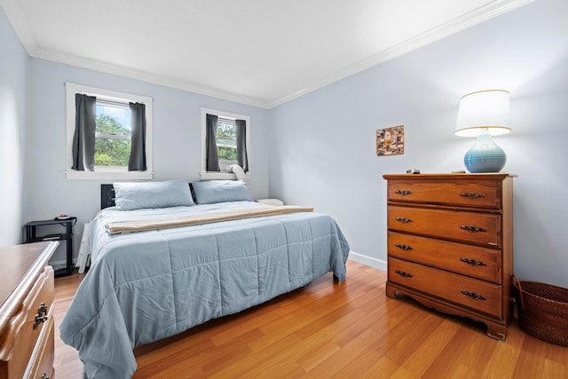 58 Branch Tpke Unit 69Aka A22, Concord, NH 03301 - bedroom with light wood-style floors and crown molding