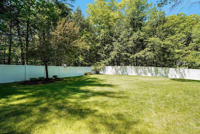 16 Pulpit Run, Amherst, NH 03031 - view of yard