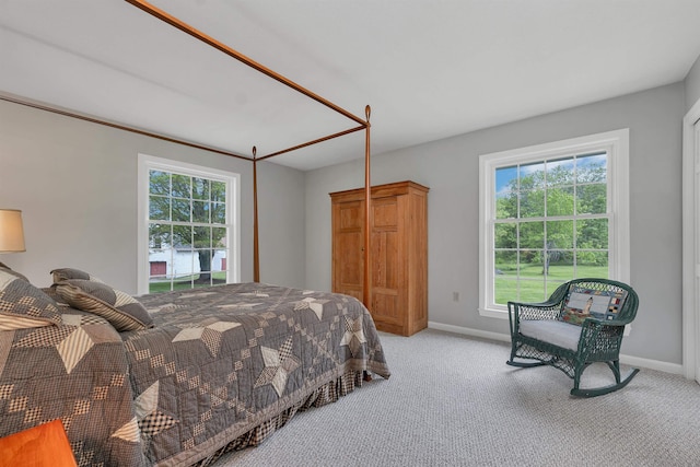 223 Deering Center Rd, Deering, NH 03244 - bedroom with multiple windows, baseboards, and light carpet