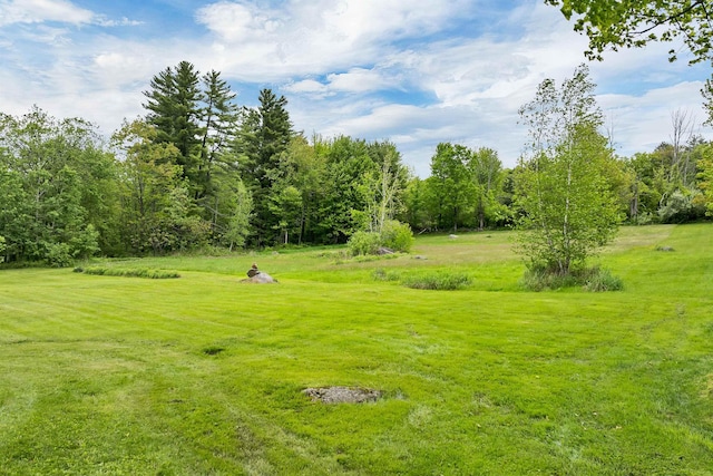 223 Deering Center Rd, Deering, NH 03244 - view of green lawn