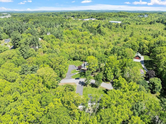 11 Woodhenge Cir, Londonderry, NH 03053 - bird's eye view of a forest