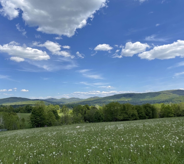 338 Johnson Rd, Marshfield, VT 05658 - view of mountain backdrop featuring a heavily wooded area