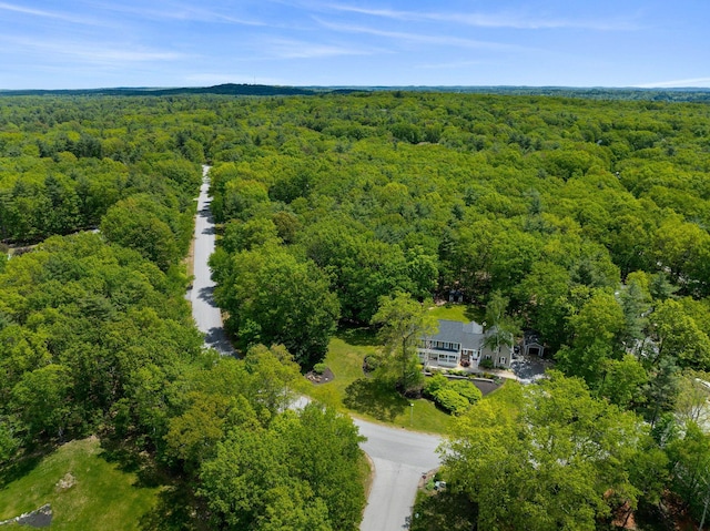 47 Blossom Rd, Windham, NH 03087 - bird's eye view of a forest