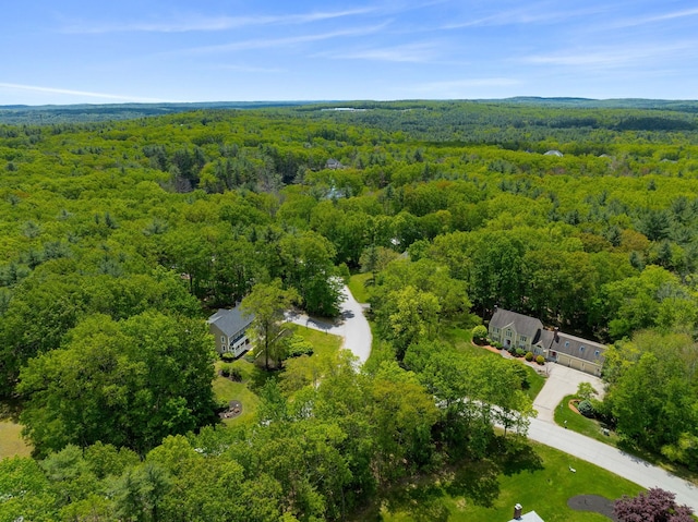 47 Blossom Rd, Windham, NH 03087 - drone / aerial view of a forest
