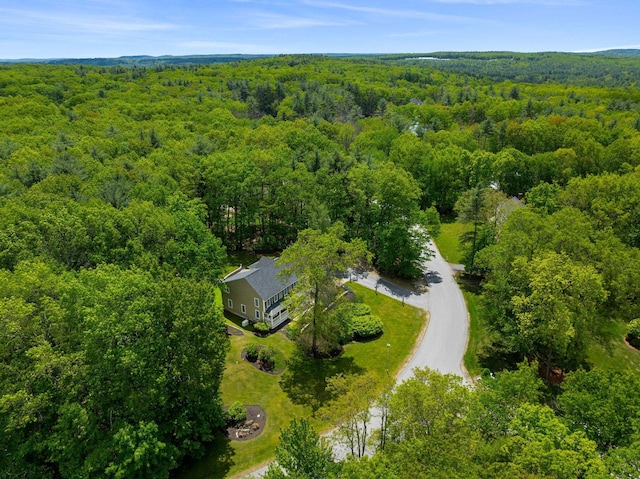 47 Blossom Rd, Windham, NH 03087 - bird's eye view of a forest