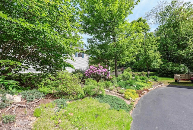 144 Whitten Rd, Milford, NH 03055 - view of yard