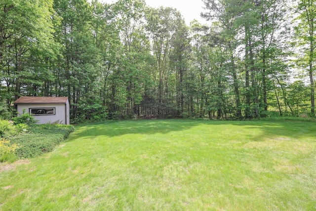 144 Whitten Rd, Milford, NH 03055 - view of green lawn featuring a forest view