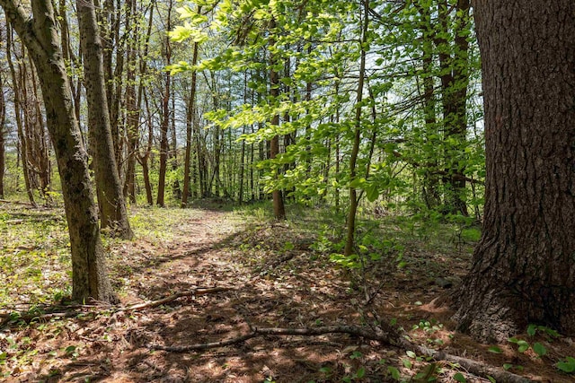 Rowell Dr, Franklin, NH 03235