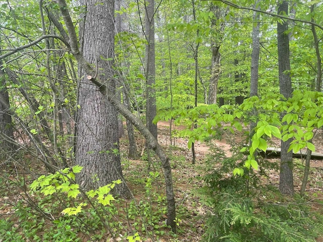 Rowell Dr, Franklin, NH 03235