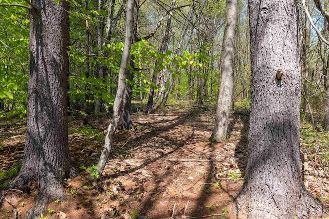 Rowell Dr, Franklin, NH 03235