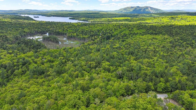 689 Hard Scrabble Rd, Sweden, ME 04008 - aerial view of a forest and a water and mountain view